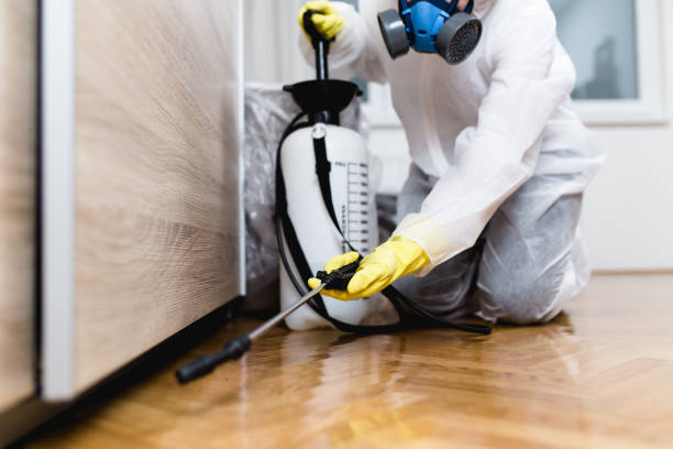 Professional Pest Control in North Lindenhurst, NY