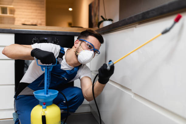 Best Pest Control Near Me  in North Lindenhurst, NY