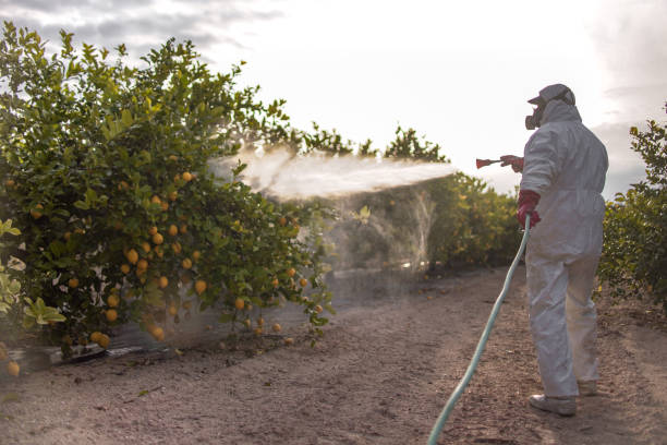 Best Pest Removal Services  in North Lindenhurst, NY