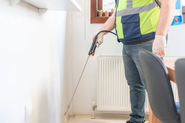 Best Affordable Pest Control Services  in North Lindenhurst, NY