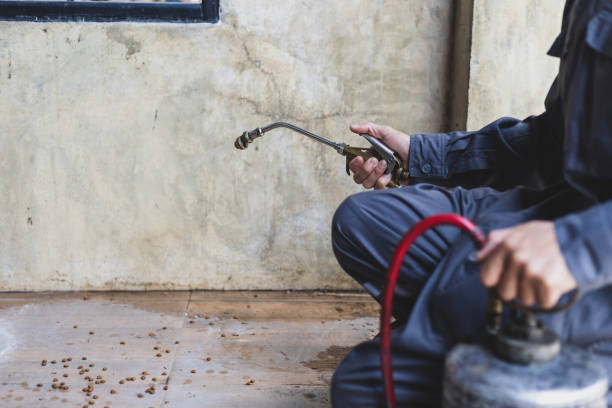 Best Wasp Removal Services  in North Lindenhurst, NY